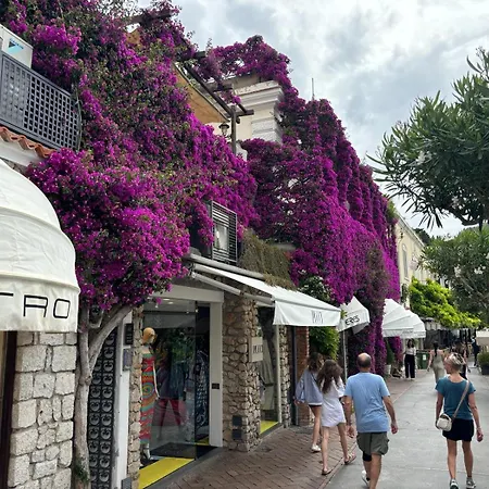 Luxury Villa Pompeiana Via Camerelle Con Terrazza Vista Mare Lägenhet Capri